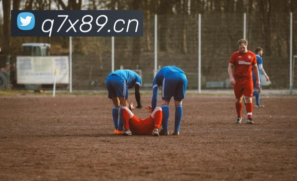 米兰官网地址平台生态图